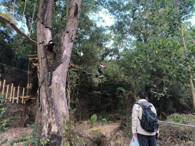 风穿林叶绳渡树间 龙岗园山这片营地邀您体验“飞檐走壁”