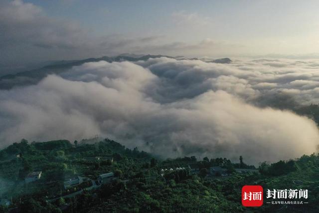 早起福利 龙泉山云海蒸腾如仙境｜图集