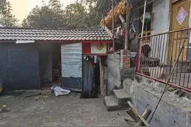 丈夫杀熊救妻事件后续：夫妻已出院回家图片