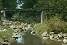 光影文旅放映厅丨《蜜桔之乡》图片