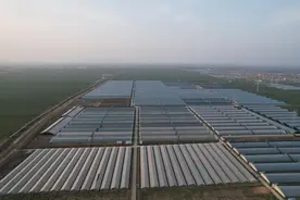 农发行山东省分行：1．65亿元贷款助力守护百姓“菜篮子”图片