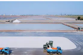 不差盐！山东省盐业协会：食盐储备充足，不必跟风抢购图片