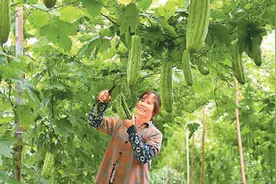 小满：万物初盈，养护心阳（二十四节气里的中医养生之道）图片