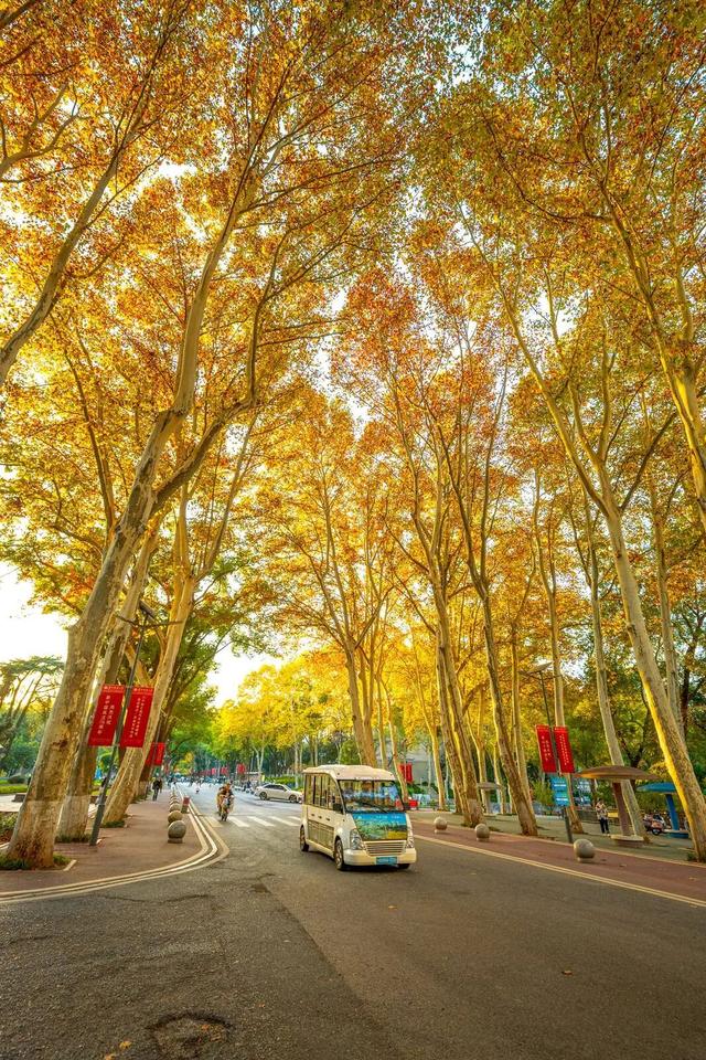 最好的秋天，在华师！