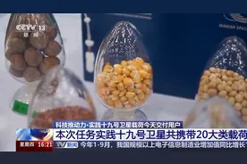 什么样的载荷能“上天”？返回式卫星有什么本领？一文了解图片