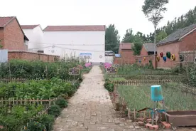 事关宅基地，河南重磅发文！图片