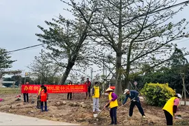 吃年例先种树！茂名电白年例兴起“绿色”新风尚图片