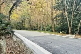 合肥大蜀山最新消息！图片