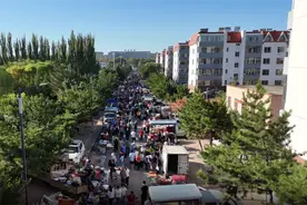 平鲁区：规范早市秩序 守护城市文明图片