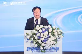 “双新”政策激活拍卖模式：成交额连续5年创新高，新能源二手车拍卖渐成风口图片