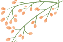 学在雨花·好校长丨张洪波：以爱琢玉 用心育贤 做教育的追梦人图片