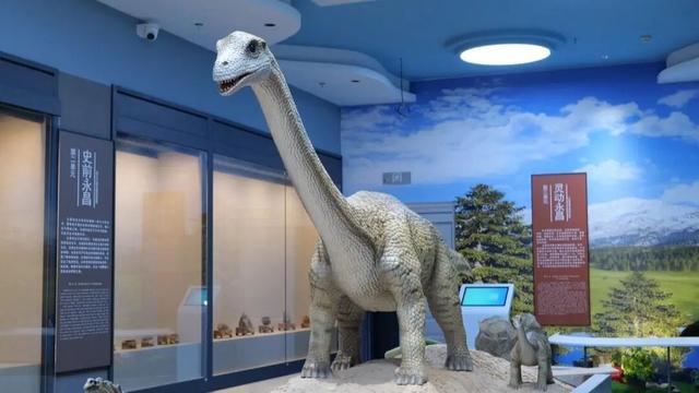 文物“安家”新馆 永昌将添历史文脉展示新窗口