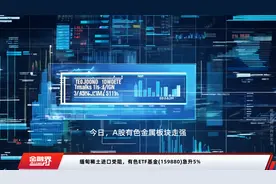 缅甸稀土进口受阻，有色ETF基金(159880)急升5%视频封面