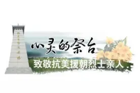 一级战斗英雄王学凤 回家的路走了61年图片