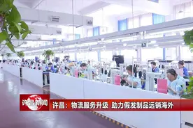 许昌：物流服务升级 助力假发制品远销海外图片