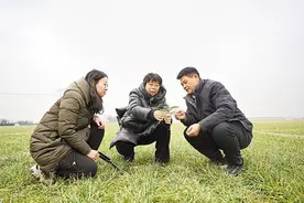 石家庄粮食生产连续五年超额完成省定目标图片