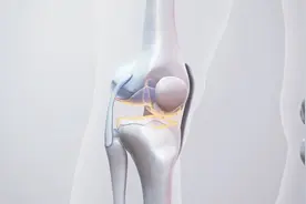 国家医保局：在“保基本”的前提下，支持医药产业创新图片