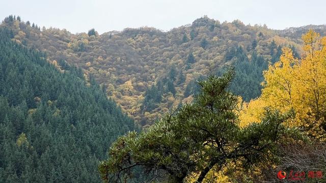卡阳秋色映高原 田园云雾入画来