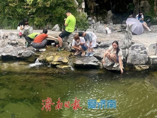 泉边夏日 戏水纳凉好景致 | 一年四季 泉在济南