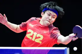 王楚钦战胜林诗栋后怒吼释放，山东魏桥队夺得2024乒超男团冠军图片