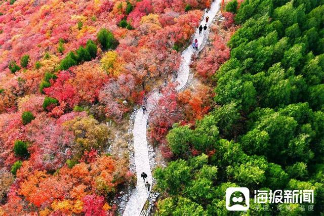 视觉山东一周图选（2025年第44期）