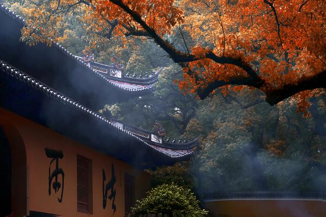 0元追！杭州徒步圈最强“顶流”上新，大片红枫爆红了