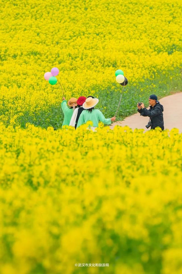 高铁票售罄！直冲29℃，都是晴天，全城爆花迎客