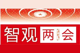 智观两会丨郑亚莉：以区域国别研究赋能国家高水平对外开放图片