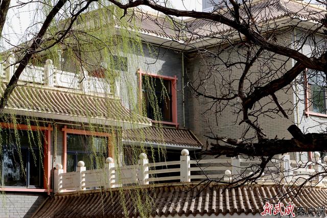 组图丨凉州植物园：春色满园关不住