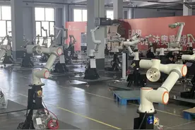 山东机器人产业营收超200亿元 机器人“中医”成明星图片