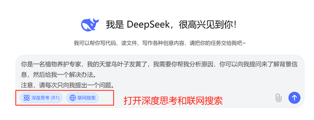 普通人的AI工具入门使用指南
