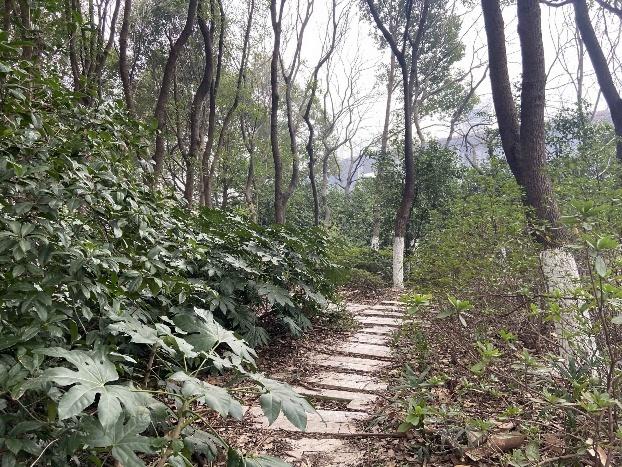 江阴这些园林，你逛过了吗？