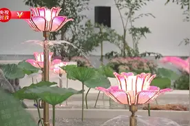 独家视频丨习近平向意大利总统马塔雷拉赠送嫦娥五号月壤