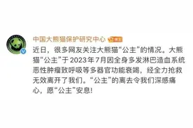 最新消息，“公主”“融融”已去世图片