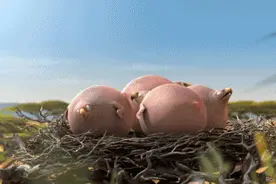 PONG！“胖版国家地理”空降闵行！图片