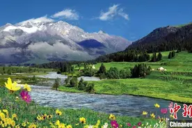 展示大美唐布拉 新疆尼勒克旅游推介会在京举办图片