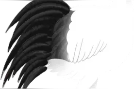 寻访千年潇贺古道图片