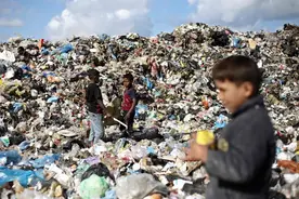 图片新闻｜加沙：近百万儿童无家可归图片