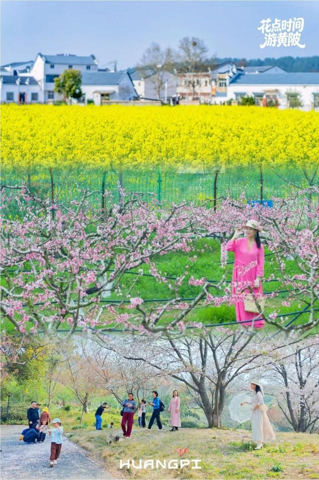 清明去哪玩？来黄陂 “榨" 出一整个春天！