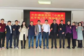 人人都爱的“见手青”一年四季都能吃上了！图片