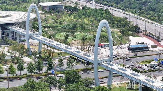 武汉空轨“低空飞行”热度持续攀升
