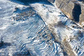 雪后太行，梯田美景如画图片