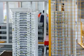 农行重庆分行：强化金融供给 赋能农业产业焕新升级图片