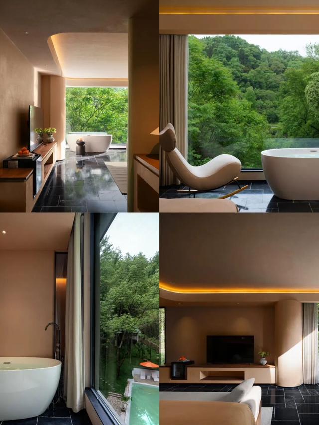 烟火不远，森林很近！在上饶云碧峰，找到一处“森呼吸”的栖息地