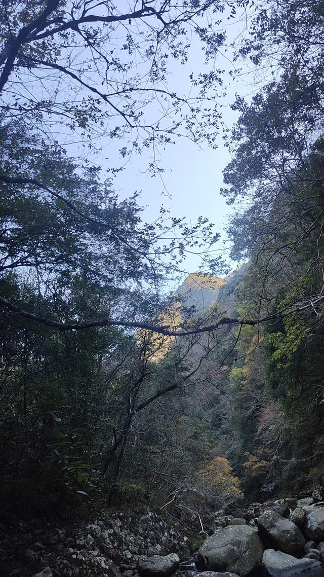 晚潮｜老家如梦：小佐坑峡谷的烟树秋色