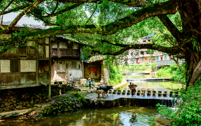 周末去“村”游！这个村人少景美，99%的福安人都不晓得~