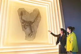 辽宁朝阳鸟化石国家地质公园升级重开——让参观者“穿越亿年时空”图片