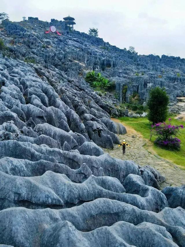 要放春假了!免门票景区先码住,假期一到就出发!