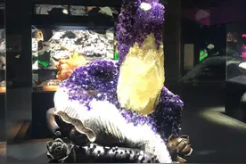 五一近郊游即墨③丨休闲之旅：一场春日约会，送给热爱生活的你图片