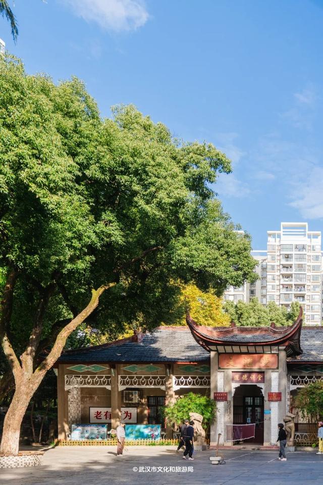 武汉为百年古树建公园，免费开放！
